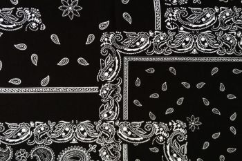 Deadstock 100% Viscose Digital Paisley Print - Black