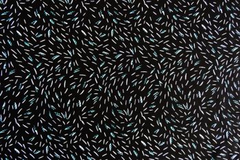 Deadstock 100% Viscose Digital Sprinkle Print - Black/Jade